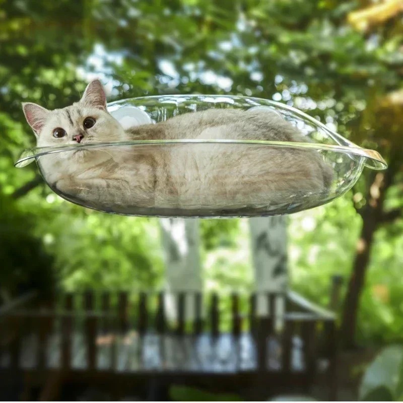 Pet Supplies Delivery - Window Bed for Cats Kitten Accessories