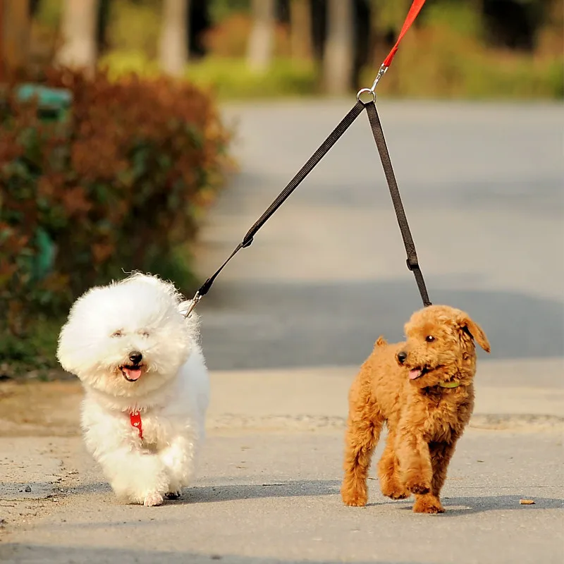 Outdoor Walking Two Dogs Leash - огляд і ціна Retractable Dog Leash