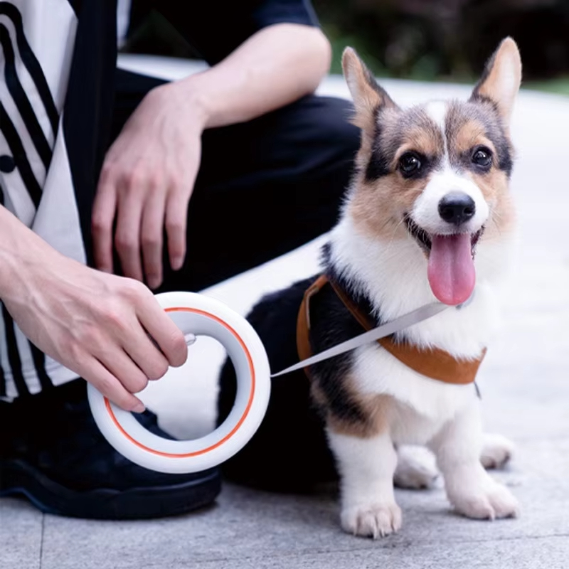 Moestar UFO 개폐식 가죽 끈 2 라이트 금속  - огляд і ціна Retractable Dog Leash