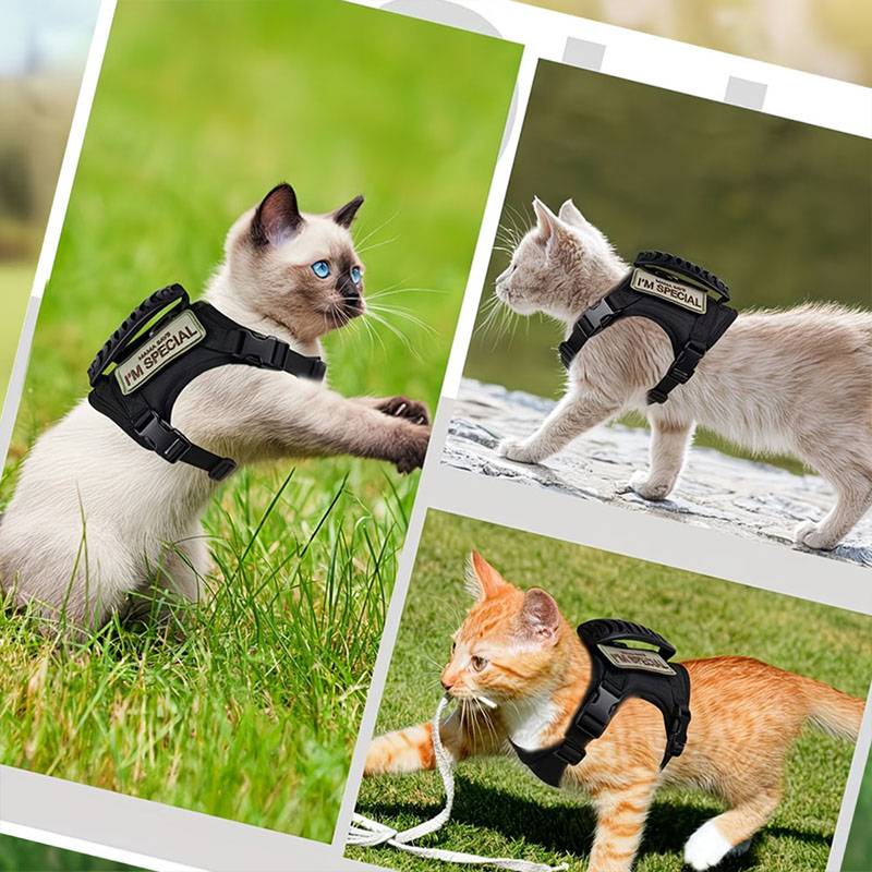 Breathable Tactical Pet Harnes - огляд і ціна Retractable Dog Leash