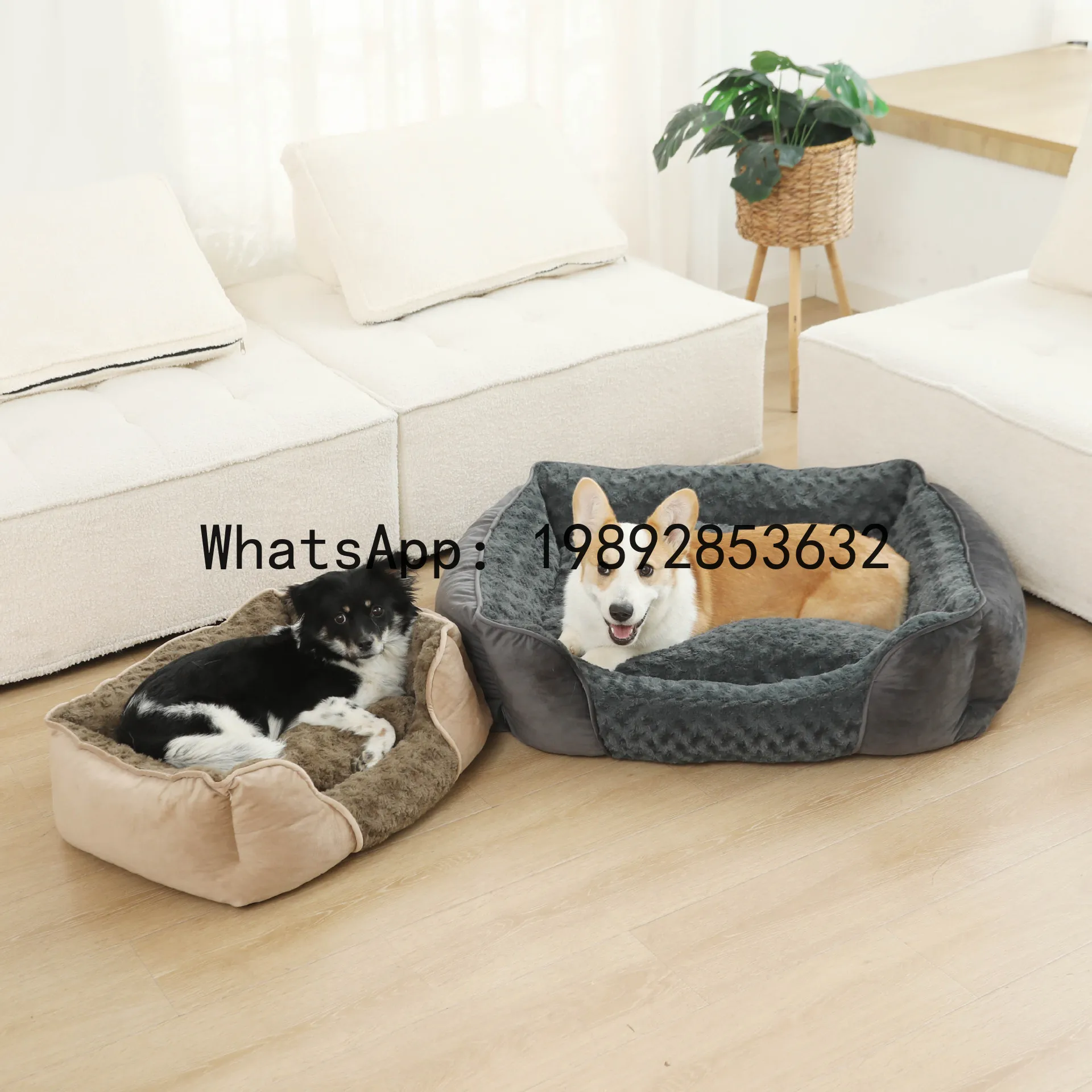 X cat house semi-enclosed dog  - огляд і ціна Pet X Supplies & Tack Howell Photos