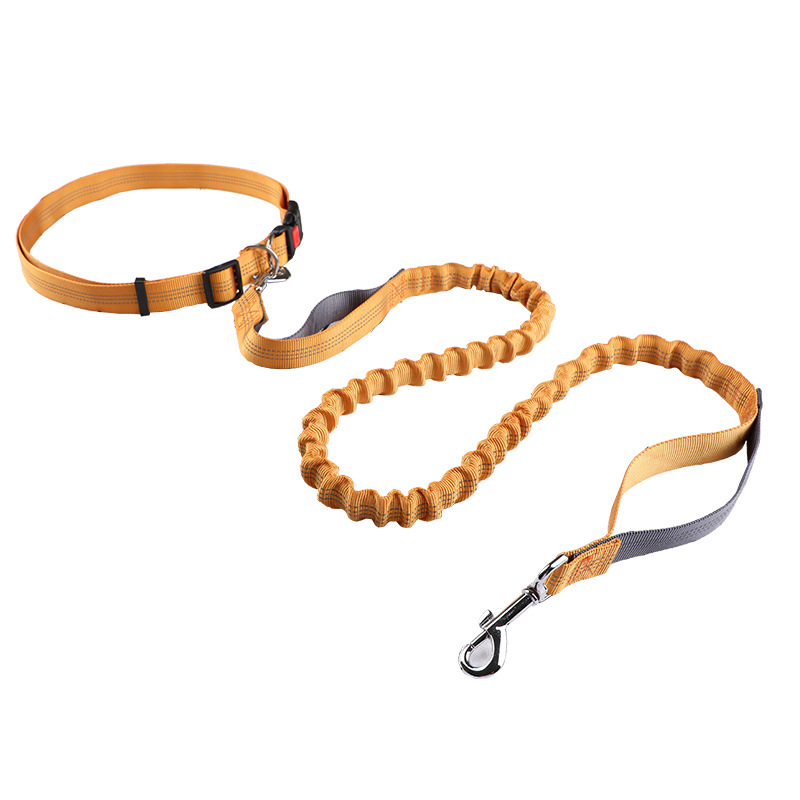 Pet leash Running leash, retra - огляд і ціна Retractable Dog Leash