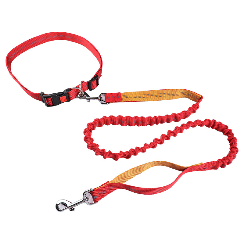 Pet leash Running leash, retra - огляд і ціна Retractable Dog Leash