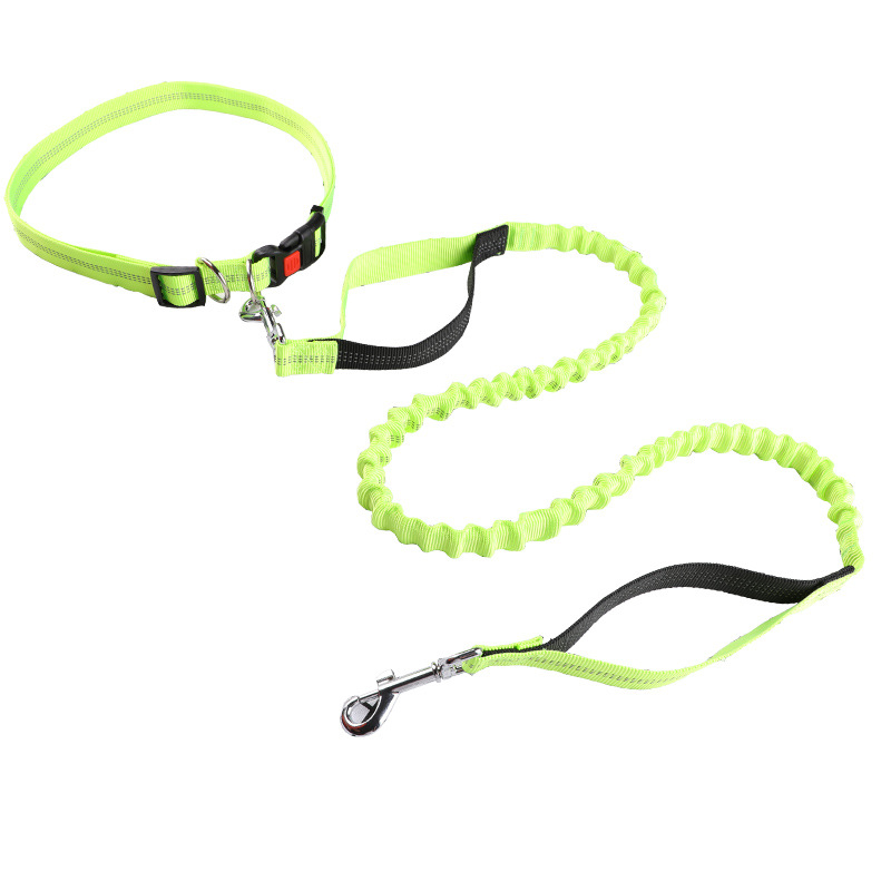 Pet leash Running leash, retra - огляд і ціна Retractable Dog Leash