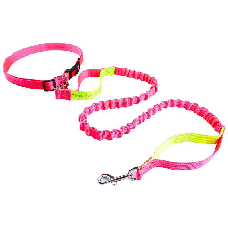 Pet leash Running leash, retra - огляд і ціна Retractable Dog Leash