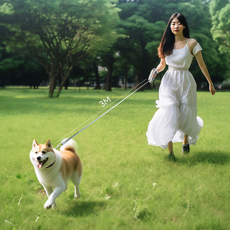 LED Pet Retractable Leash Wear - огляд і ціна Retractable Dog Leash