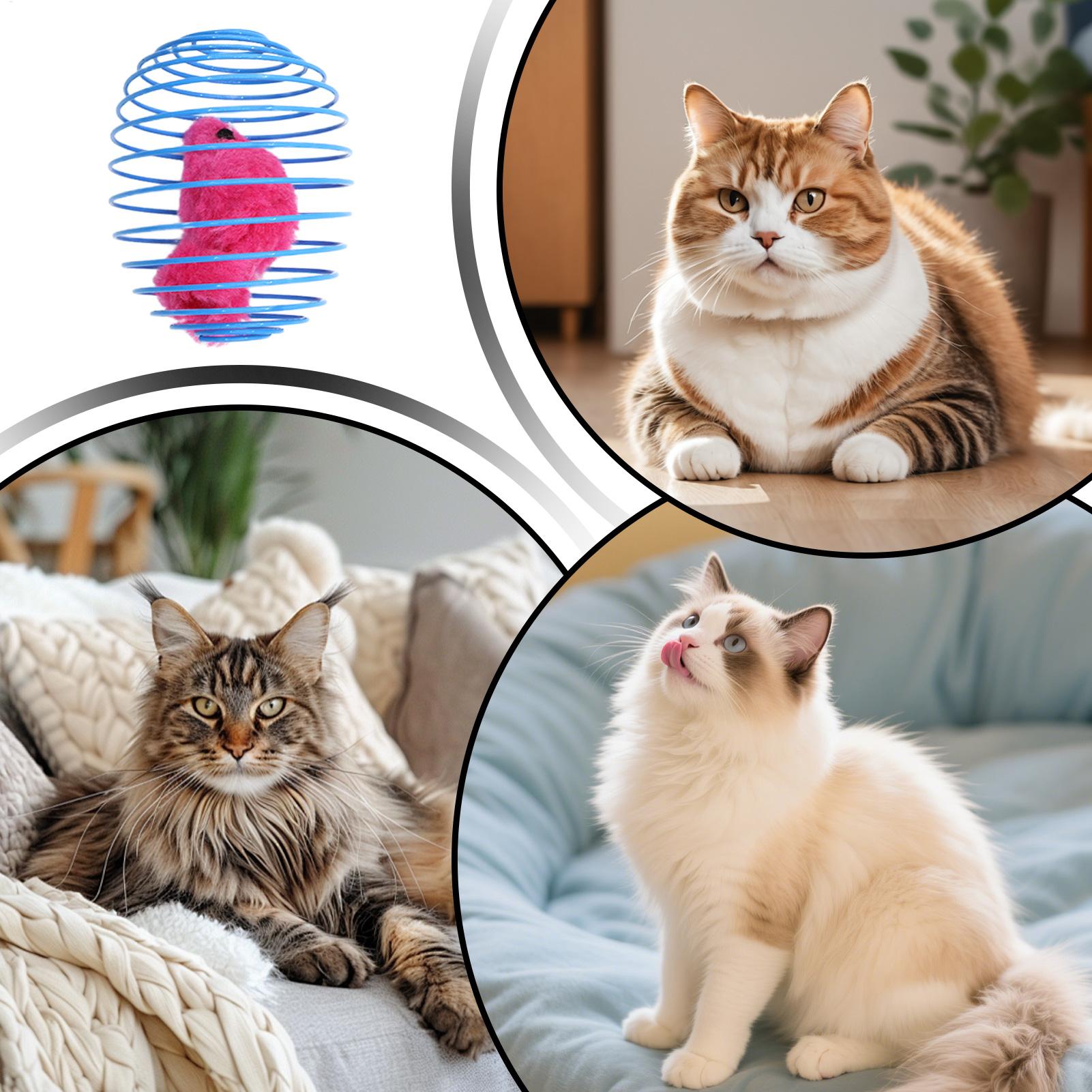 Cat Spiral Toy Interactive Fun - огляд і ціна Cat Tunnel Toy