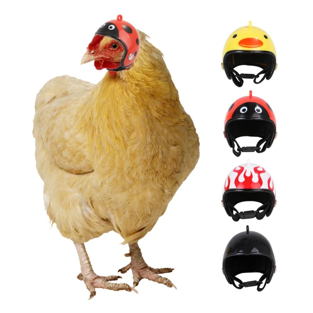 ABS Pet Supplies Funny Pet Pro - огляд і ціна Pet X Supplies & Tack Howell Photos