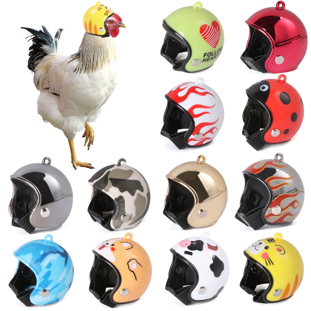 ABS Pet Supplies Funny Pet Pro - огляд і ціна Pet X Supplies & Tack Howell Photos