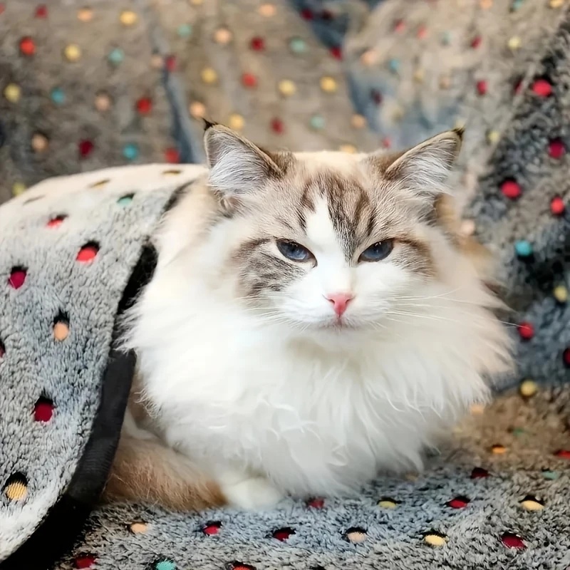 3PCS Soft Fluffy Pet Blanket C - огляд і ціна Pet Supplies Delivery