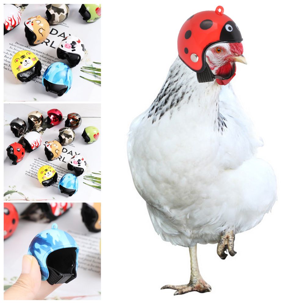 ABS Funny Pet Supplies Pet Pro - огляд і ціна Pet X Supplies & Tack Howell Photos