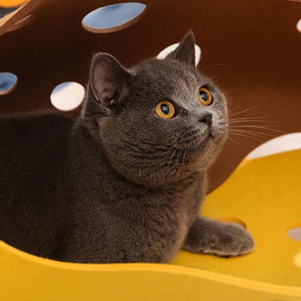 Durable Foldable Cat Tunnels B - огляд і ціна Cat Tunnel Toy