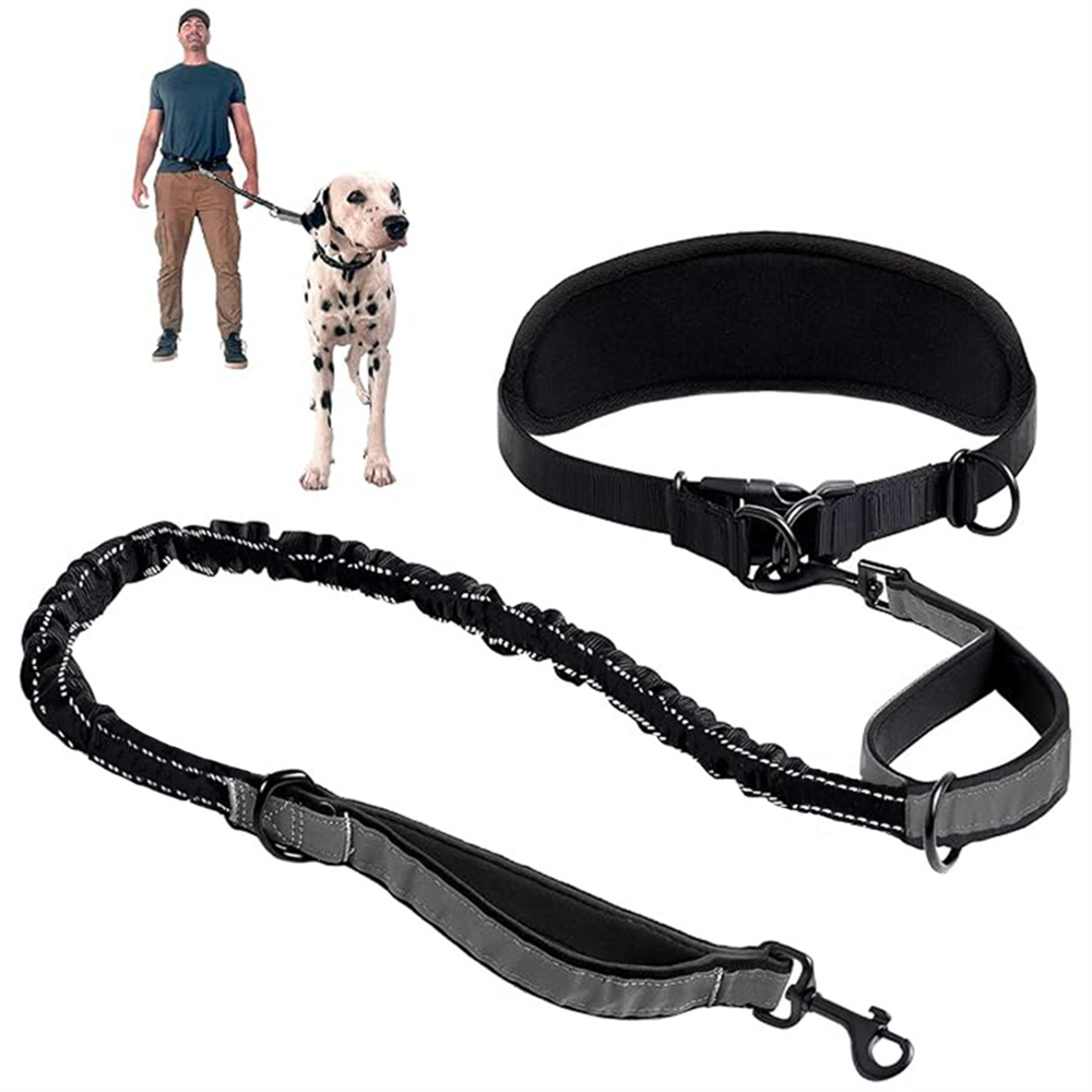 Hands Free Dog Leash Dog Waist - огляд і ціна Retractable Dog Leash