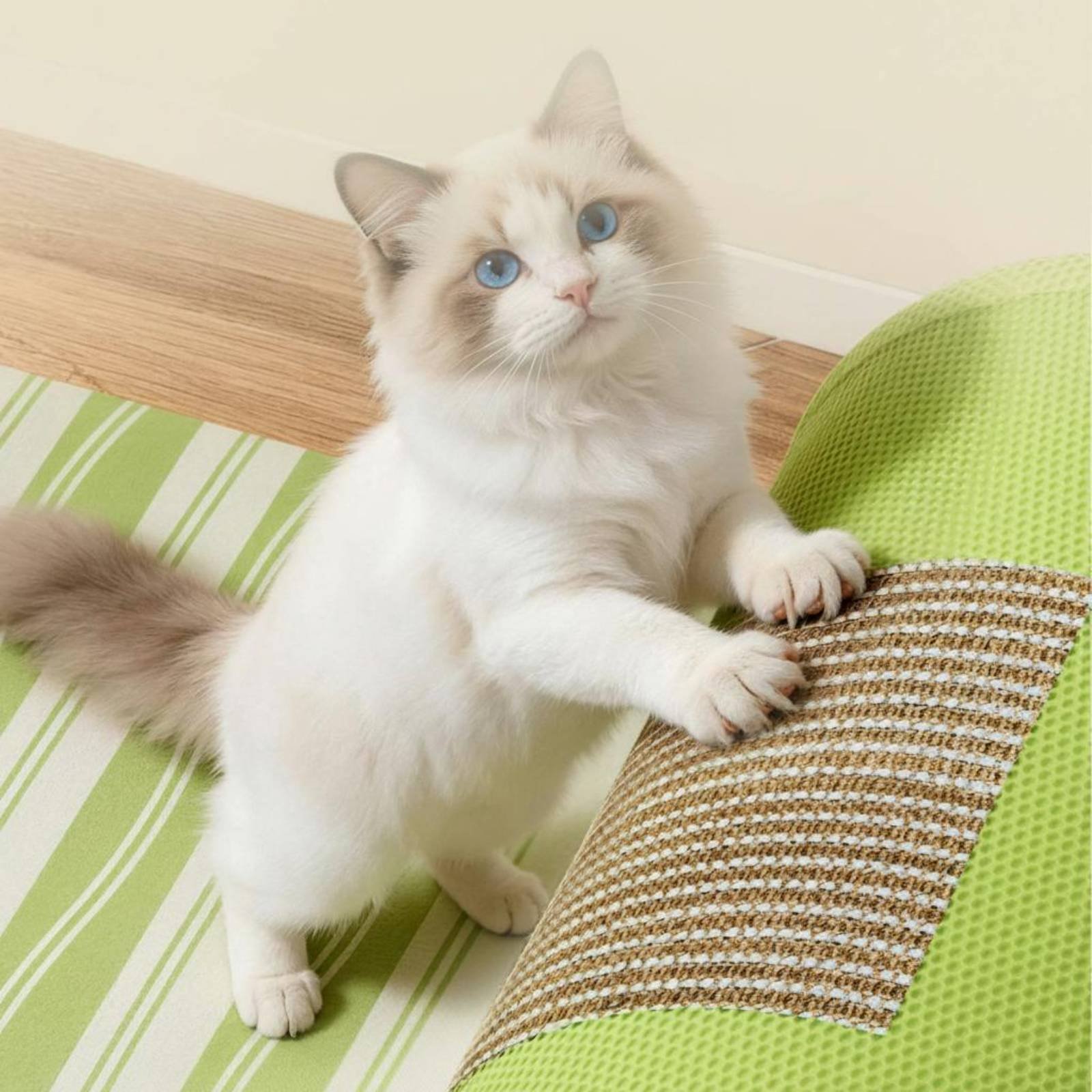Feline Scratcher Tunnel Dangli - огляд і ціна Cat Tunnel Toy